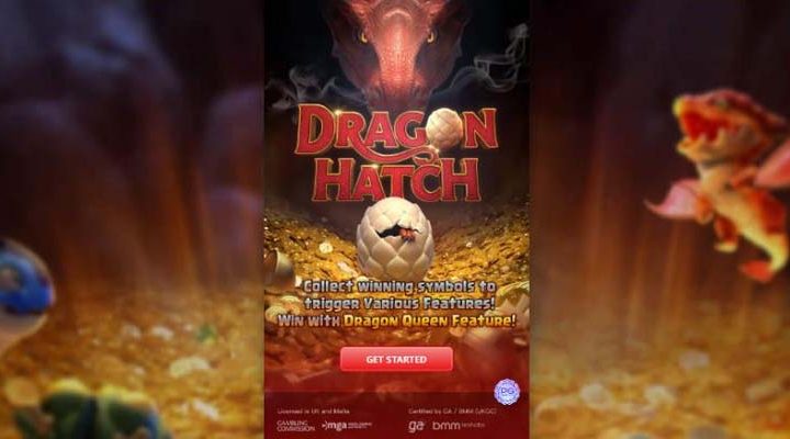 dragon hatch