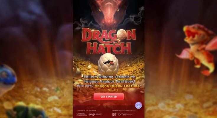 dragon hatch