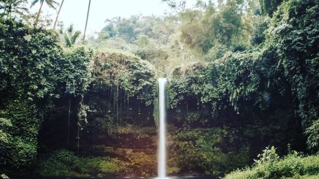 5 Destinasi Kekinian di Sekitar Purbalingga: Wisata Kota yang Sangat Strategis