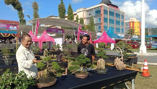 Ratusan Bonsai Mempercantik Alun-Alun Gunungsitoli: Karya Anak Daerah yang Menyaingi Profesional!